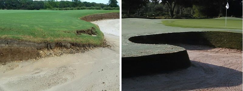 Tiburon antes y despues