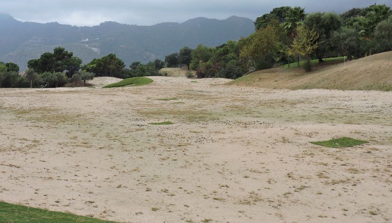 zagaleta gtm siembra campo dos 2