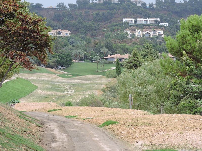 zagaleta gtm siembra campo dos 3