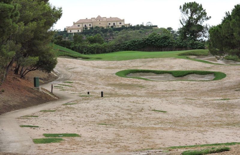 zagaleta gtm siembra campo dos 4