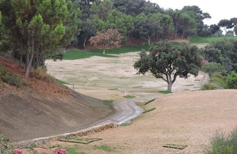 zagaleta gtm siembra campo dos 6