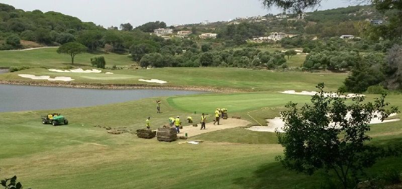 gtm antegreens reserva 1