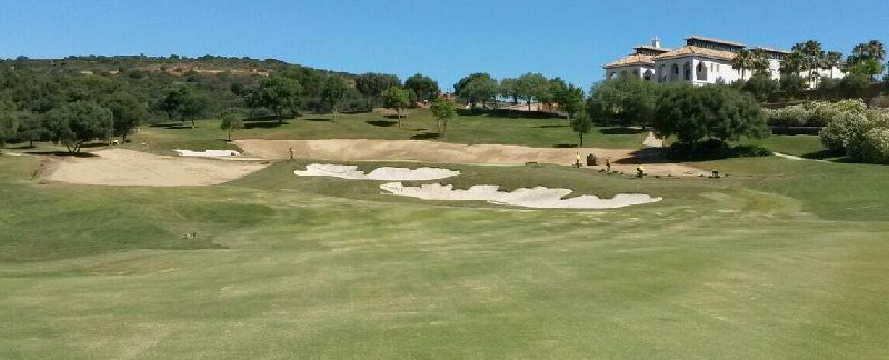 gtm antegreens reserva 10