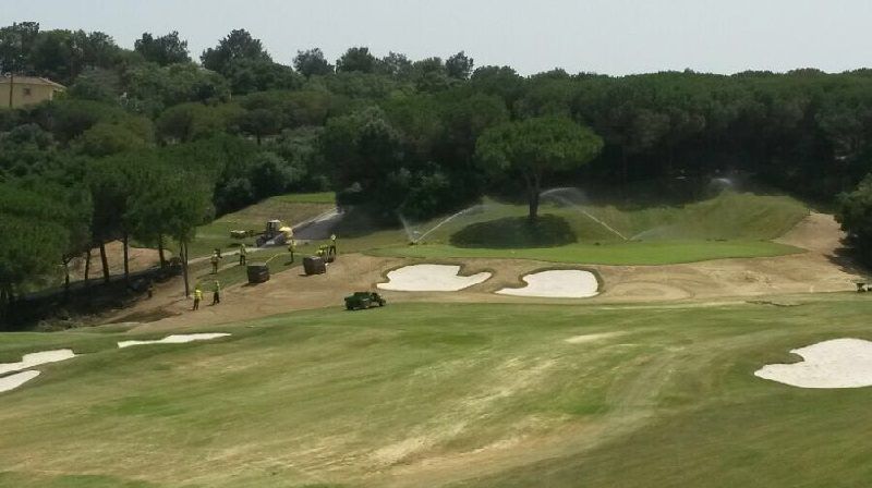 gtm antegreens reserva 2