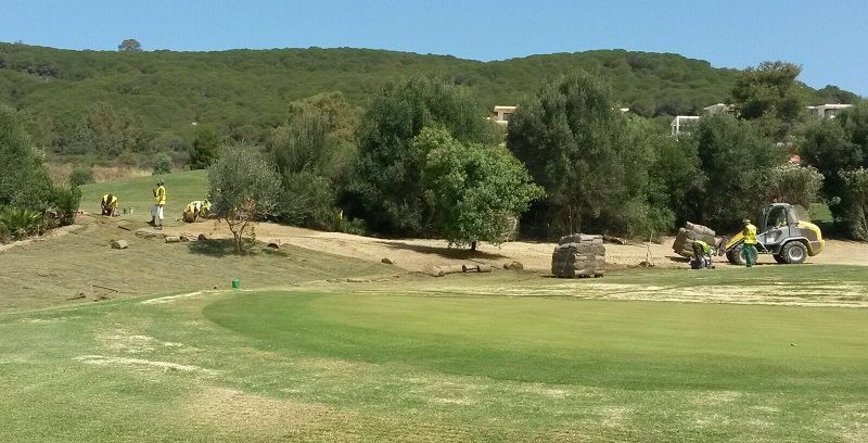 gtm antegreens reserva 4
