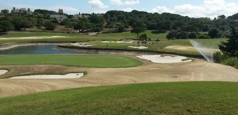 gtm antegreens reserva 5