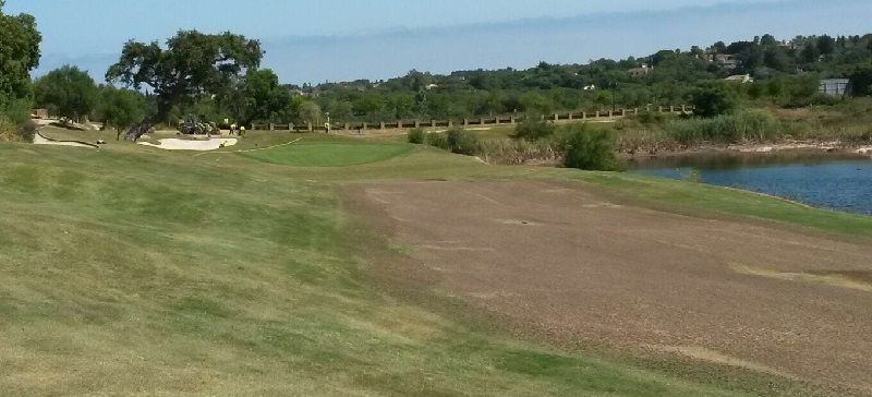 gtm antegreens reserva 6