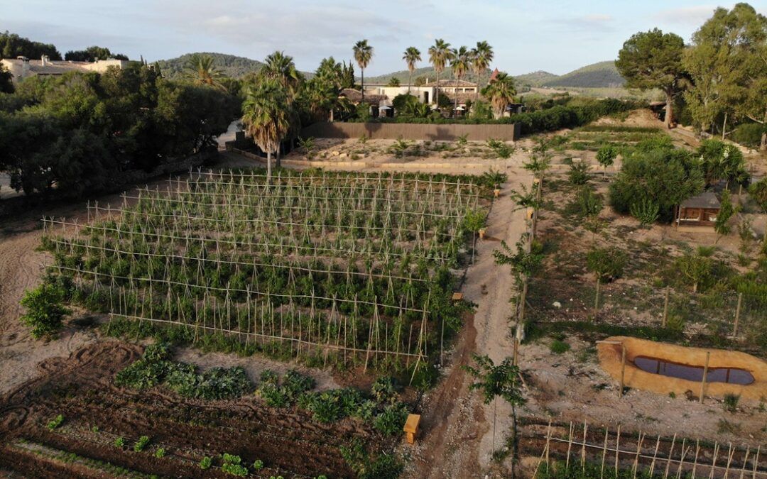 Pula Golf Resort celebra el Día de la Tierra 2025 destacando proyectos clave e innovaciones sostenibles