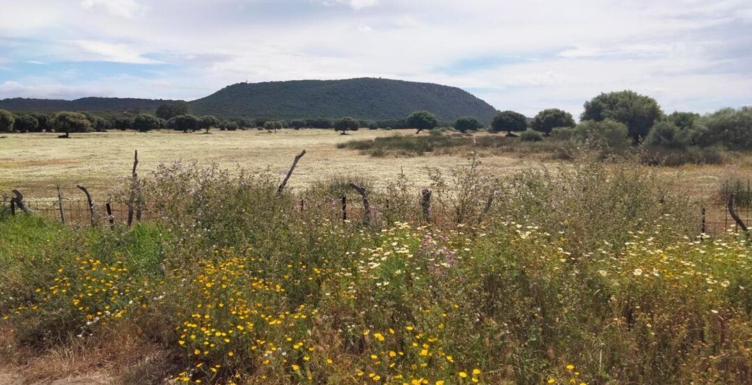 El Ayuntamiento de Barbate aclara que el proyecto turístico en Zahora no contempla ningún campo de golf