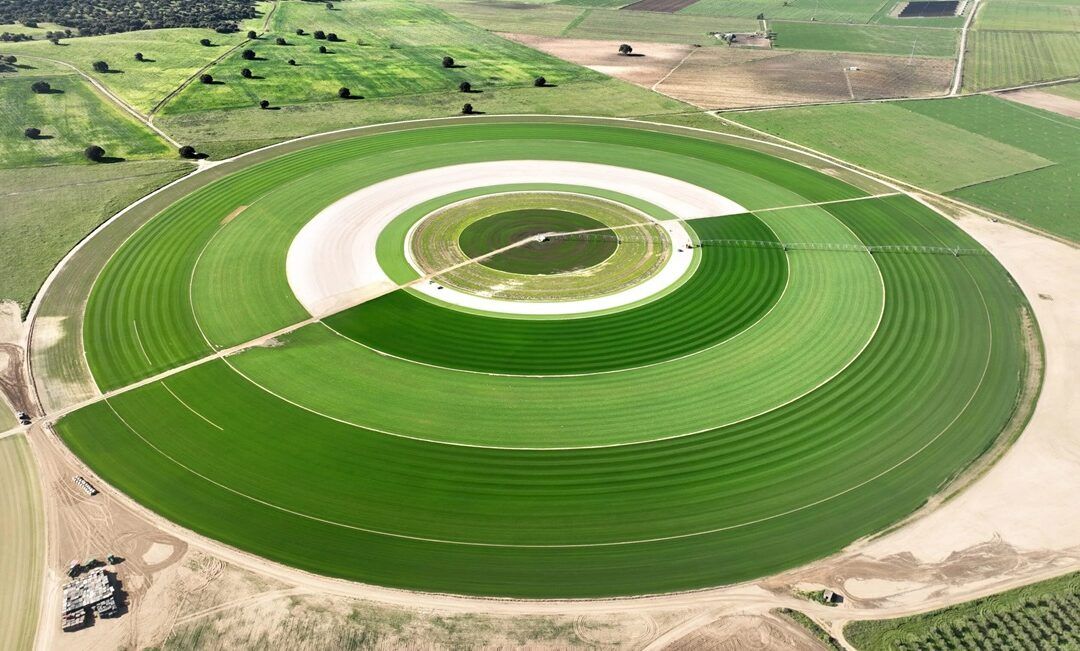 Oferta de empleo: técnico-comercial agrónomo de Novogreen en Francia