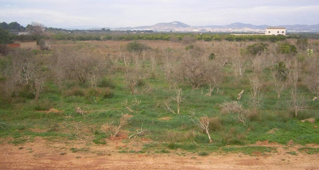 El TSJCV cierra el litigio del PAI Golf-Pobla con la condena al Ayuntamiento de La Pobla de Vallbona