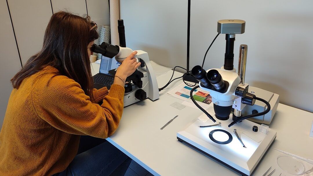 Servicentre amplía su compromiso con el sector césped incorporando análisis de nematodos y enfermedades