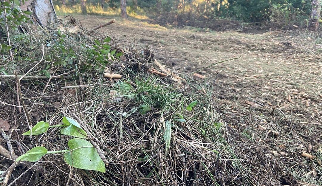 El Ayuntamiento de Corvera inicia la recuperación del campo de golf de Los Balagares