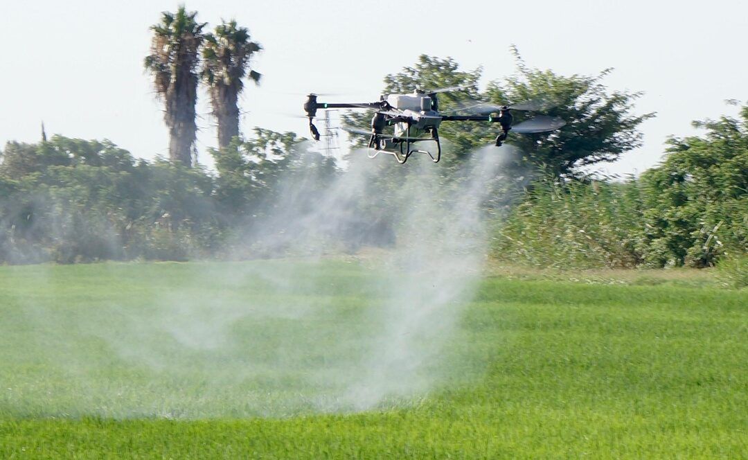 La Comunidad de Madrid formará de manera gratuita a pilotos de dron que aplican productos fitosanitarios
