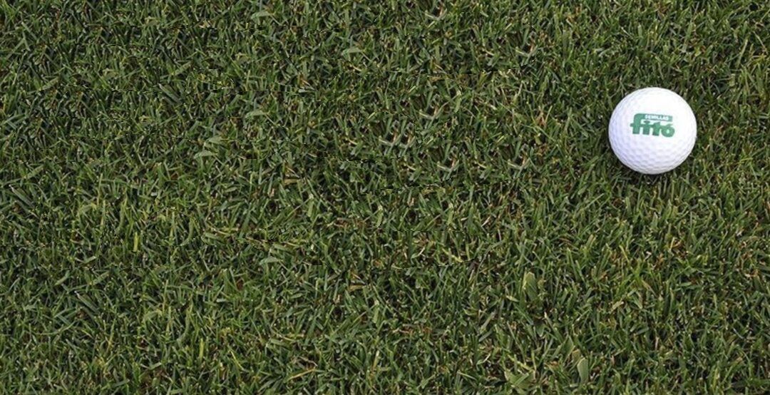 Semillas Fitó estará presente esta semana en los eventos anuales del European Institute of Golf Course Architects y de la European Turfgrass Society