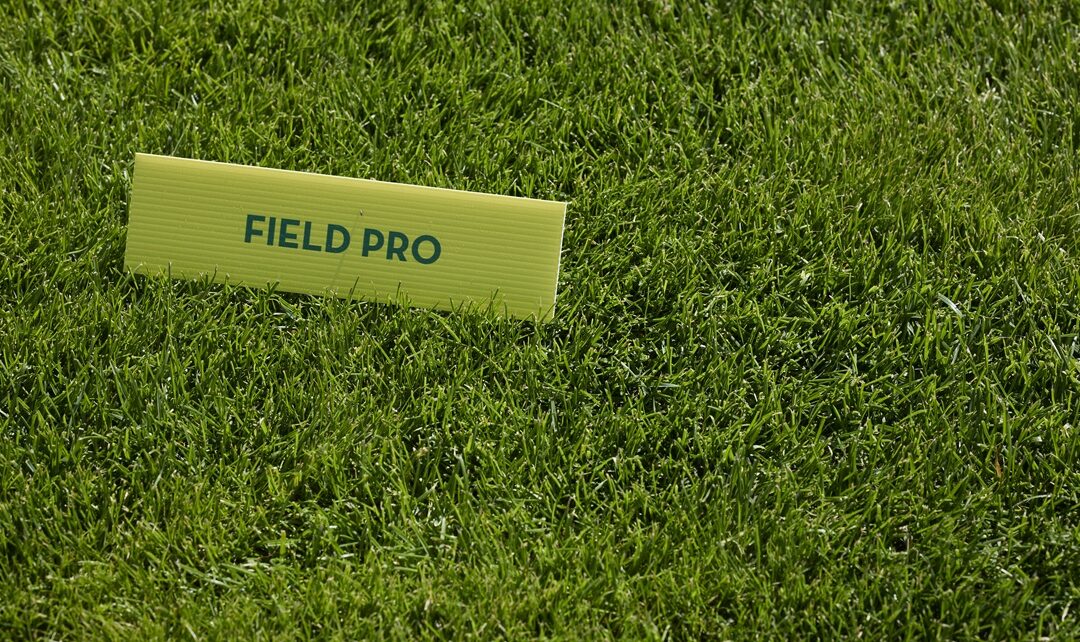 Fitó Seeds presentará sus novedades en césped profesional en el congreso de la Asociación Española de Greenkeepers en Pamplona