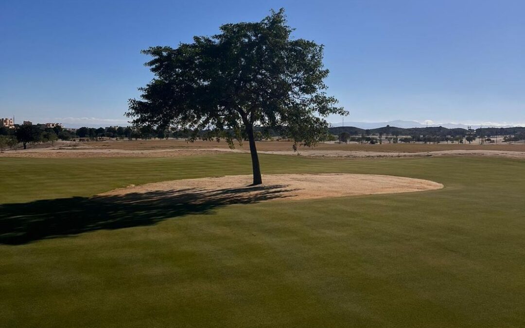 Oferta de empleo: personal de mantenimiento de campo de golf en Corvera Hills