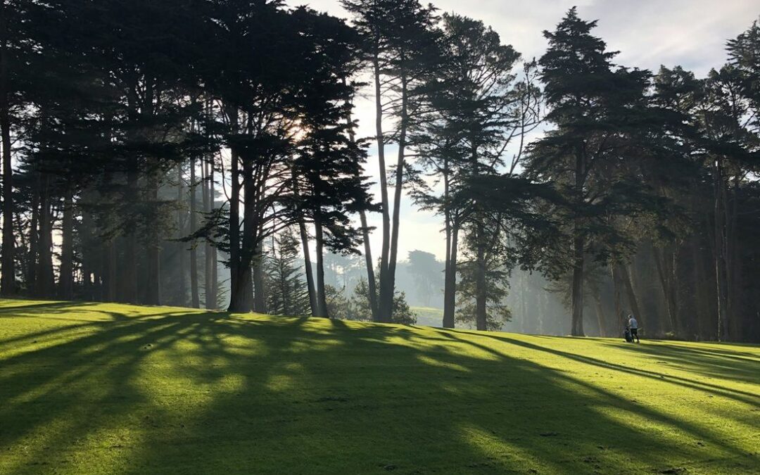 Digital Caddie AI