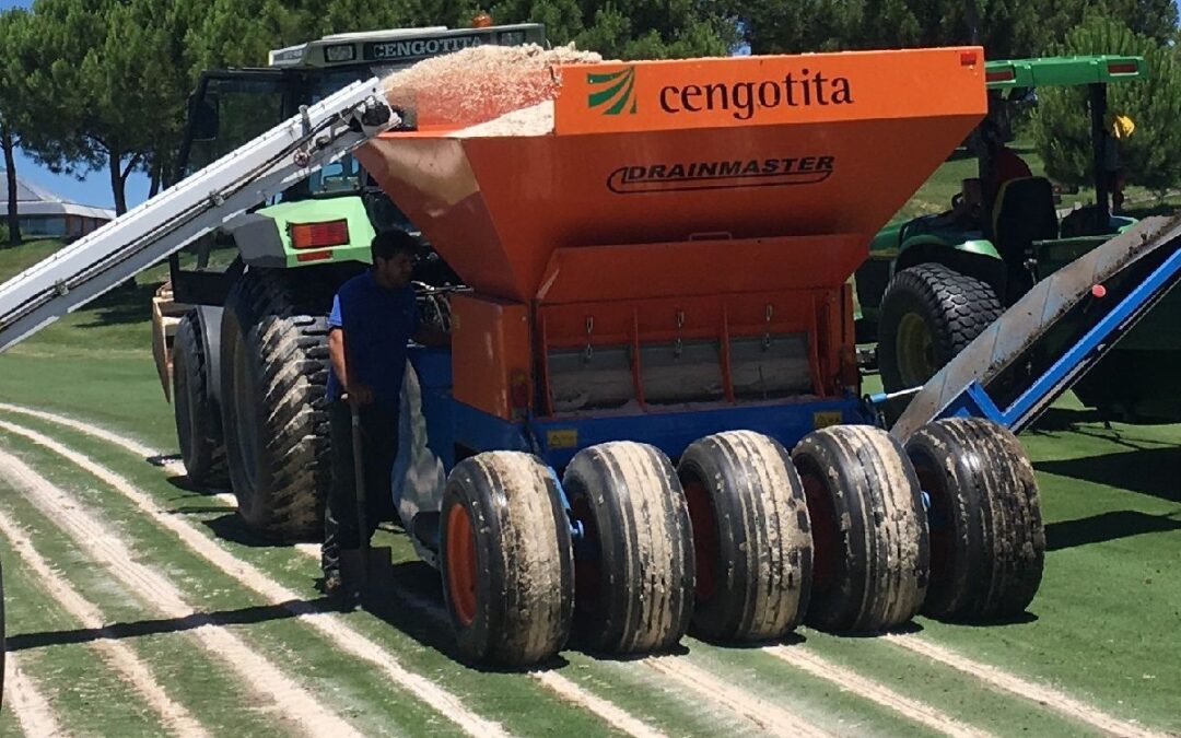 Cengotita
